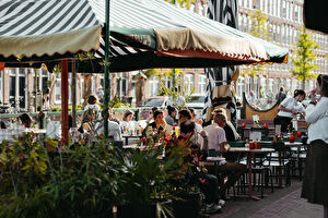 TERRAS